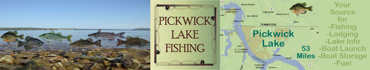 Pickwick Lake Fishing